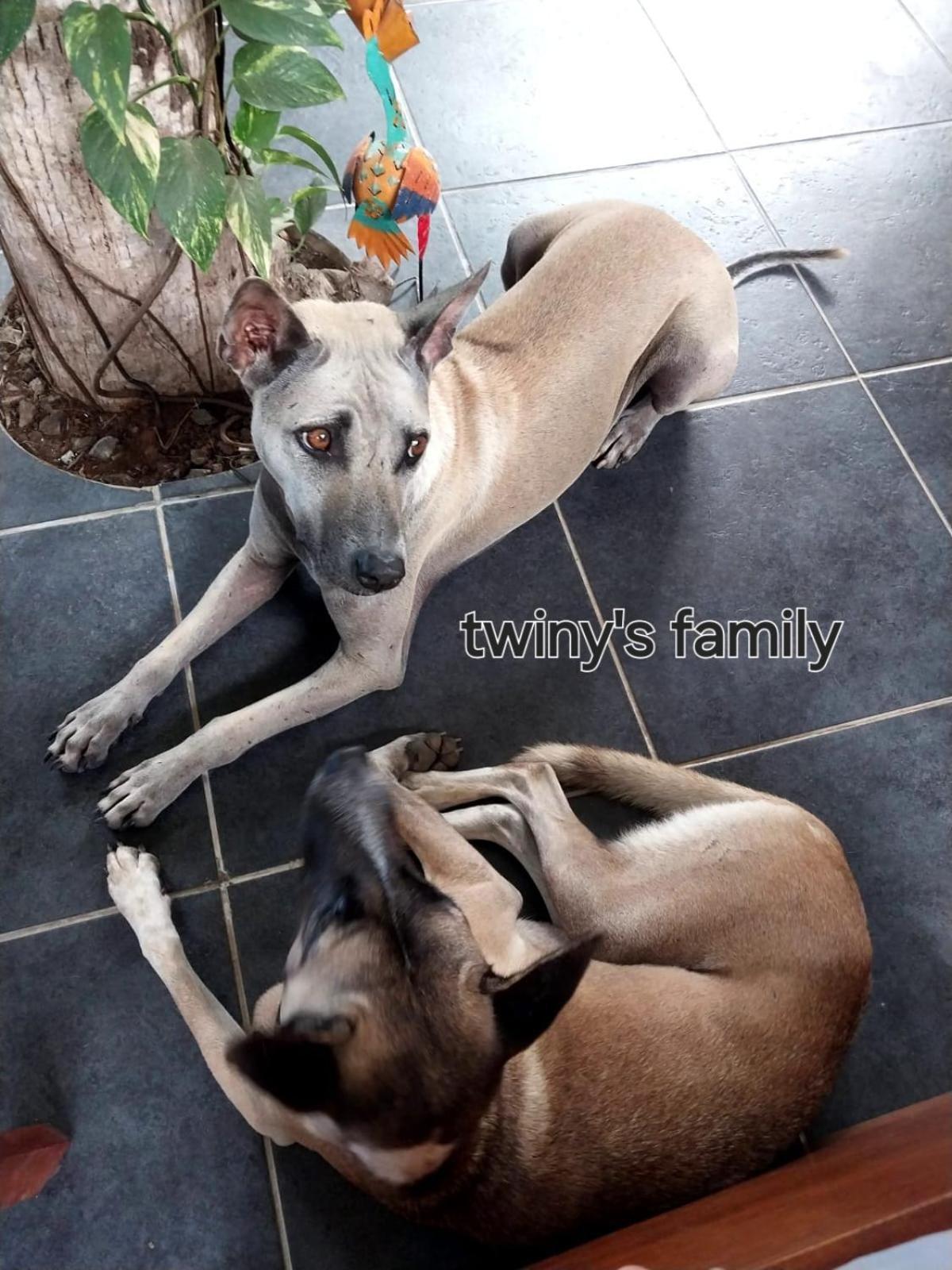 Готель Twiny'S Kuta  Екстер'єр фото